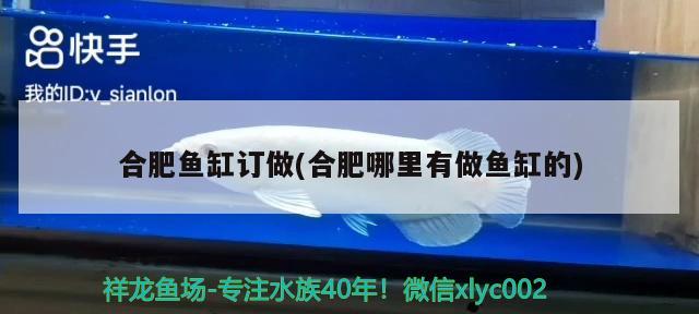 合肥魚缸訂做(合肥哪里有做魚缸的)