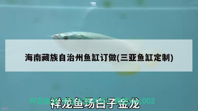 海南藏族自治州魚缸訂做(三亞魚缸定制) 黃金夢(mèng)幻雷龍魚