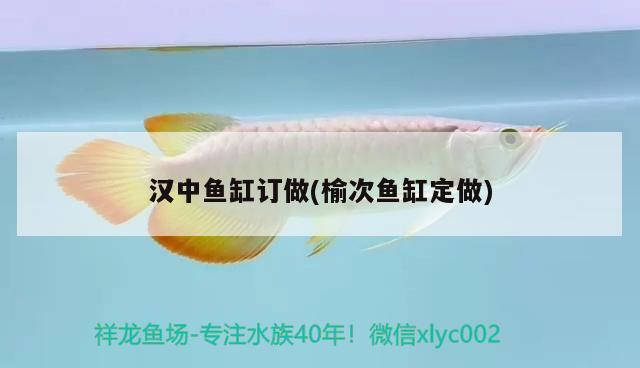 漢中魚缸訂做(榆次魚缸定做)