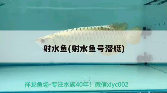 射水魚(射水魚號(hào)潛艇)