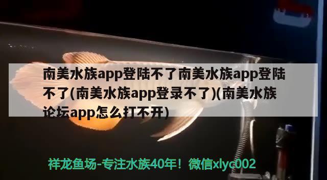 南美水族app登陸不了南美水族app登陸不了(南美水族app登錄不了)(南美水族論壇app怎么打不開) 金龍福龍魚