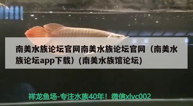 南美水族論壇官網(wǎng)南美水族論壇官網(wǎng)（南美水族論壇app下載）(南美水族館論壇)