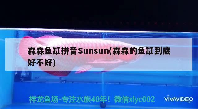 森森魚缸拼音Sunsun(森森的魚缸到底好不好) 細(xì)線銀版魚