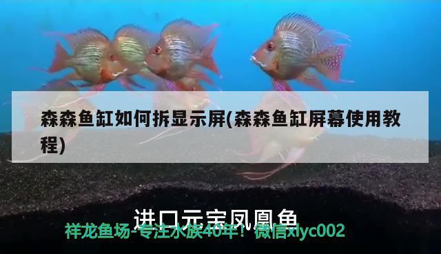 森森魚(yú)缸如何拆顯示屏(森森魚(yú)缸屏幕使用教程)