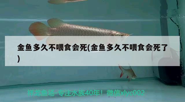 金魚多久不喂食會死(金魚多久不喂食會死了)