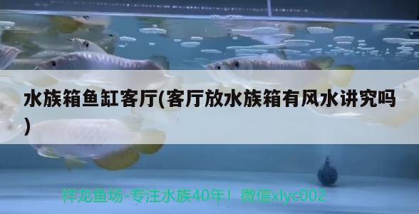 水族箱魚缸客廳(客廳放水族箱有風水講究嗎) 魚缸風水 第2張