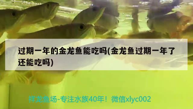 過(guò)期一年的金龍魚(yú)能吃嗎(金龍魚(yú)過(guò)期一年了還能吃嗎)