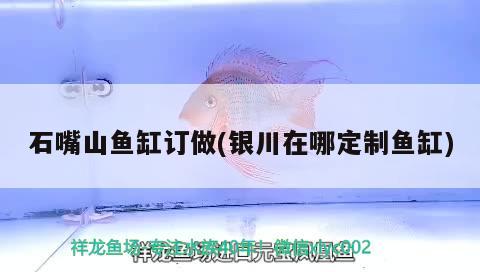 石嘴山魚缸訂做(銀川在哪定制魚缸) 小型觀賞魚