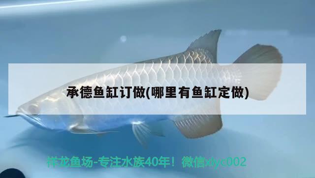 承德魚缸訂做(哪里有魚缸定做) 小型觀賞魚