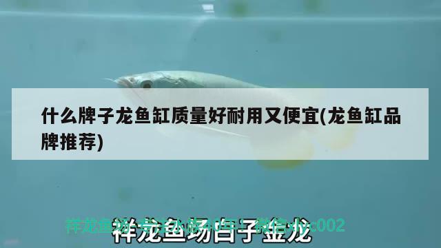 什么牌子龍魚缸質(zhì)量好耐用又便宜(龍魚缸品牌推薦) 其他益生菌