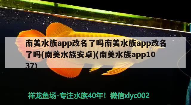 南美水族app改名了嗎南美水族app改名了嗎(南美水族安卓)(南美水族app1037)