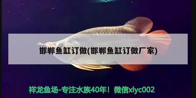 邯鄲魚缸訂做(邯鄲魚缸訂做廠家) 祥龍傳奇品牌魚缸