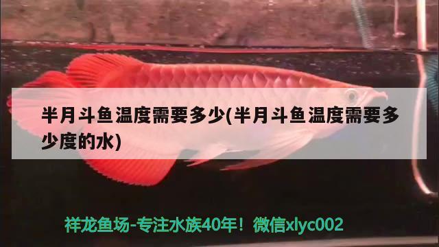 半月斗魚溫度需要多少(半月斗魚溫度需要多少度的水)