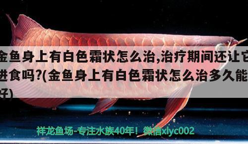 金魚身上有白色霜狀怎么治,治療期間還讓它進(jìn)食嗎?(金魚身上有白色霜狀怎么治多久能好)