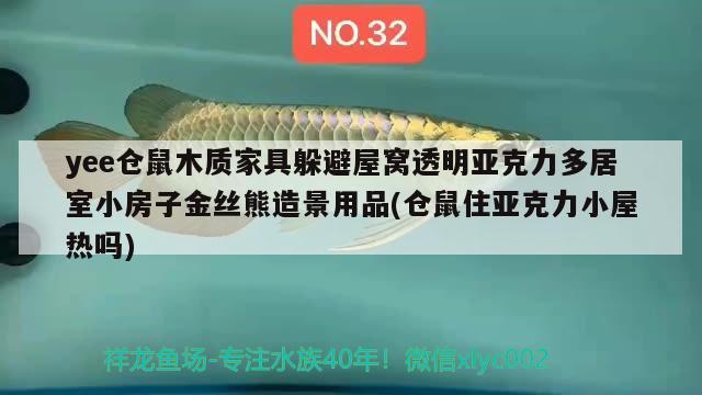 yee倉鼠木質(zhì)家具躲避屋窩透明亞克力多居室小房子金絲熊造景用品(倉鼠住亞克力小屋熱嗎)