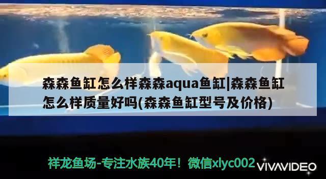 森森魚缸怎么樣森森aqua魚缸|森森魚缸怎么樣質(zhì)量好嗎(森森魚缸型號及價格) 魚缸百科