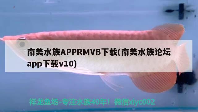 南美水族APPRMVB下載(南美水族論壇app下載v10)