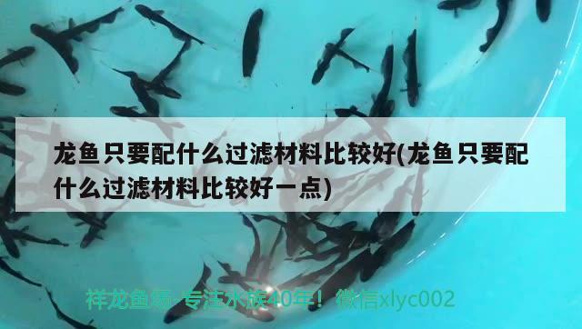 龍魚只要配什么過濾材料比較好(龍魚只要配什么過濾材料比較好一點) 龍魚芯片掃碼器