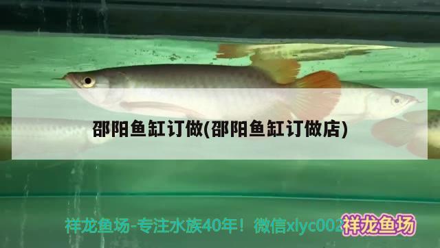 邵陽(yáng)魚缸訂做(邵陽(yáng)魚缸訂做店)