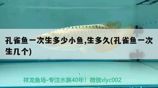 孔雀魚(yú)一次生多少小魚(yú),生多久(孔雀魚(yú)一次生幾個(gè))