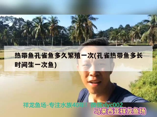 熱帶魚孔雀魚多久繁殖一次(孔雀熱帶魚多長(zhǎng)時(shí)間生一次魚)