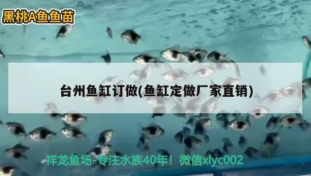 臺州魚缸訂做(魚缸定做廠家直銷)