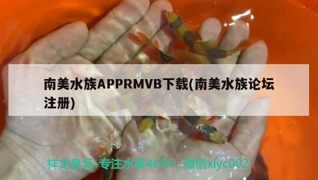 南美水族APPRMVB下載(南美水族論壇注冊(cè))