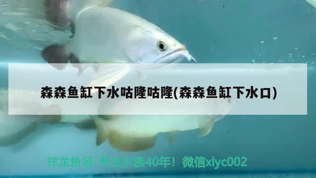 森森魚缸下水咕隆咕隆(森森魚缸下水口)