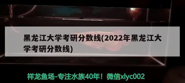 黑龍江大學(xué)考研分?jǐn)?shù)線(2022年黑龍江大學(xué)考研分?jǐn)?shù)線)