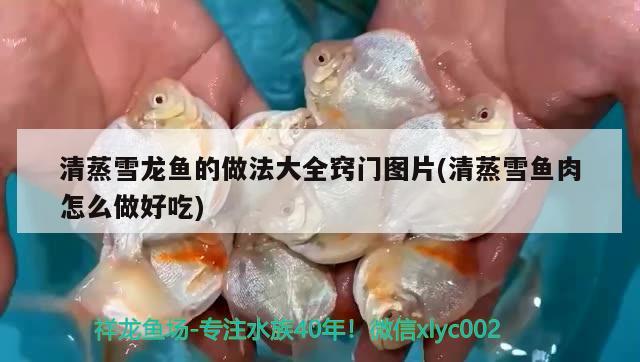 清蒸雪龍魚的做法大全竅門圖片(清蒸雪魚肉怎么做好吃)