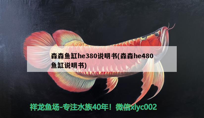 森森魚(yú)缸he380說(shuō)明書(shū)(森森h(huán)e480魚(yú)缸說(shuō)明書(shū)) 豬鼻龜