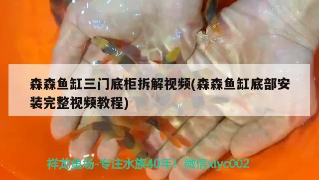 森森魚缸三門底柜拆解視頻(森森魚缸底部安裝完整視頻教程) 潛水艇魚