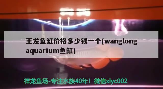 王龍魚缸價格多少錢一個(wanglongaquarium魚缸) 黑白雙星魚