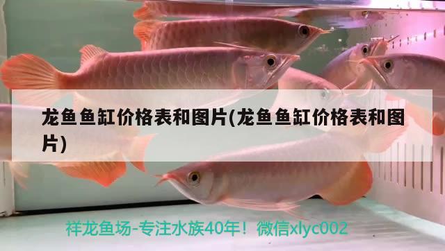 龍魚魚缸價格表和圖片(龍魚魚缸價格表和圖片) 薩伊藍魚