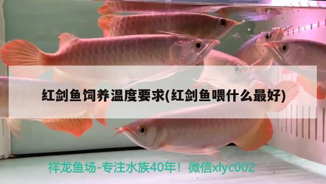 紅劍魚飼養(yǎng)溫度要求(紅劍魚喂什么最好)