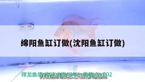 綿陽魚缸訂做(沈陽魚缸訂做)