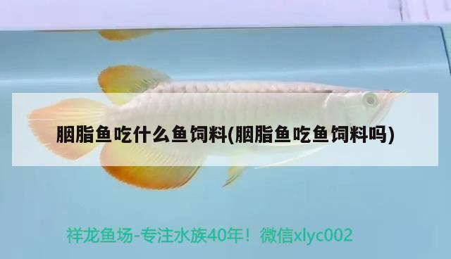 胭脂魚吃什么魚飼料(胭脂魚吃魚飼料嗎) 觀賞魚