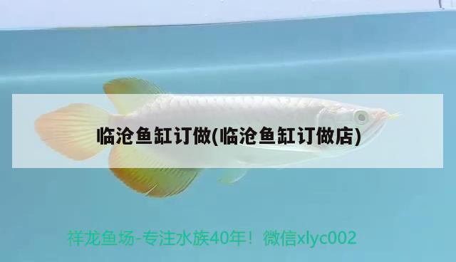 臨滄魚缸訂做(臨滄魚缸訂做店) 申古銀版魚