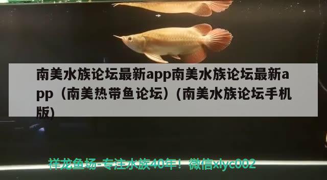 南美水族論壇最新app南美水族論壇最新app（南美熱帶魚論壇）(南美水族論壇手機版)