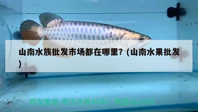 山南水族批發(fā)市場(chǎng)都在哪里？(山南水果批發(fā))