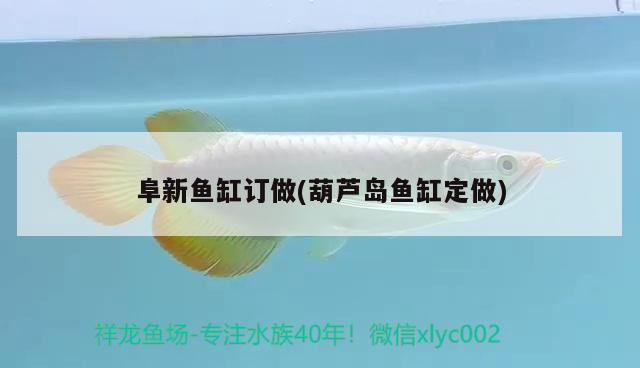 阜新魚缸訂做(葫蘆島魚缸定做) 印尼四紋虎