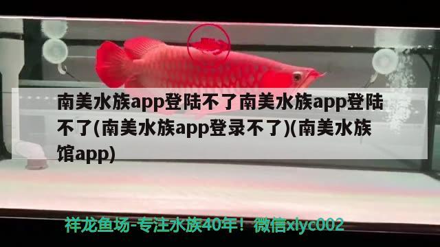 南美水族app登陸不了南美水族app登陸不了(南美水族app登錄不了)(南美水族館app)