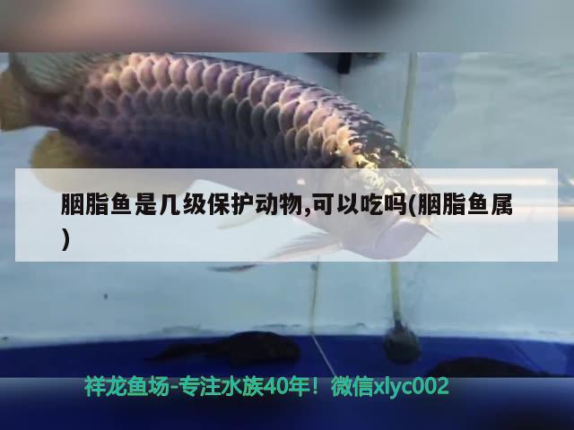 胭脂魚是幾級保護動物,可以吃嗎(胭脂魚屬)