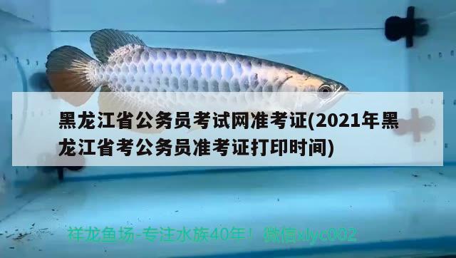 黑龍江省公務(wù)員考試網(wǎng)準(zhǔn)考證(2021年黑龍江省考公務(wù)員準(zhǔn)考證打印時(shí)間)