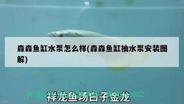 森森魚缸水泵怎么樣(森森魚缸抽水泵安裝圖解) 魚缸水泵