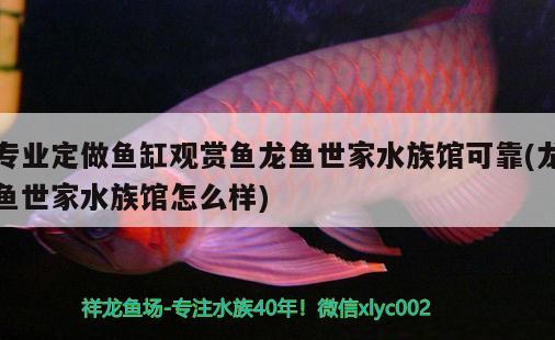 專業(yè)定做魚缸觀賞魚龍魚世家水族館可靠(龍魚世家水族館怎么樣)