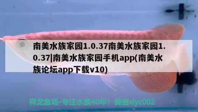 南美水族家園1.0.37南美水族家園1.0.37|南美水族家園手機(jī)app(南美水族論壇app下載v10)