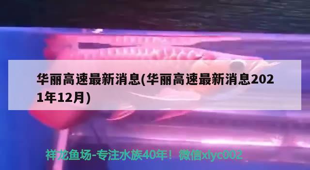 華麗高速最新消息(華麗高速最新消息2021年12月)