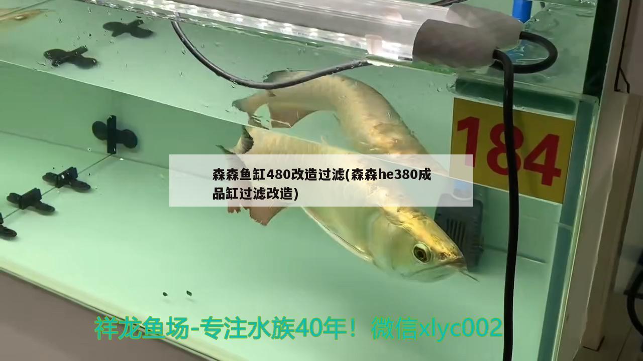 森森魚(yú)缸480改造過(guò)濾(森森h(huán)e380成品缸過(guò)濾改造)