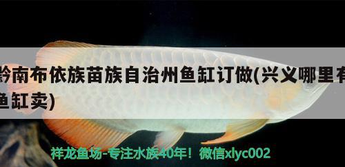 黔南布依族苗族自治州魚缸訂做(興義哪里有魚缸賣) 短身紅龍魚